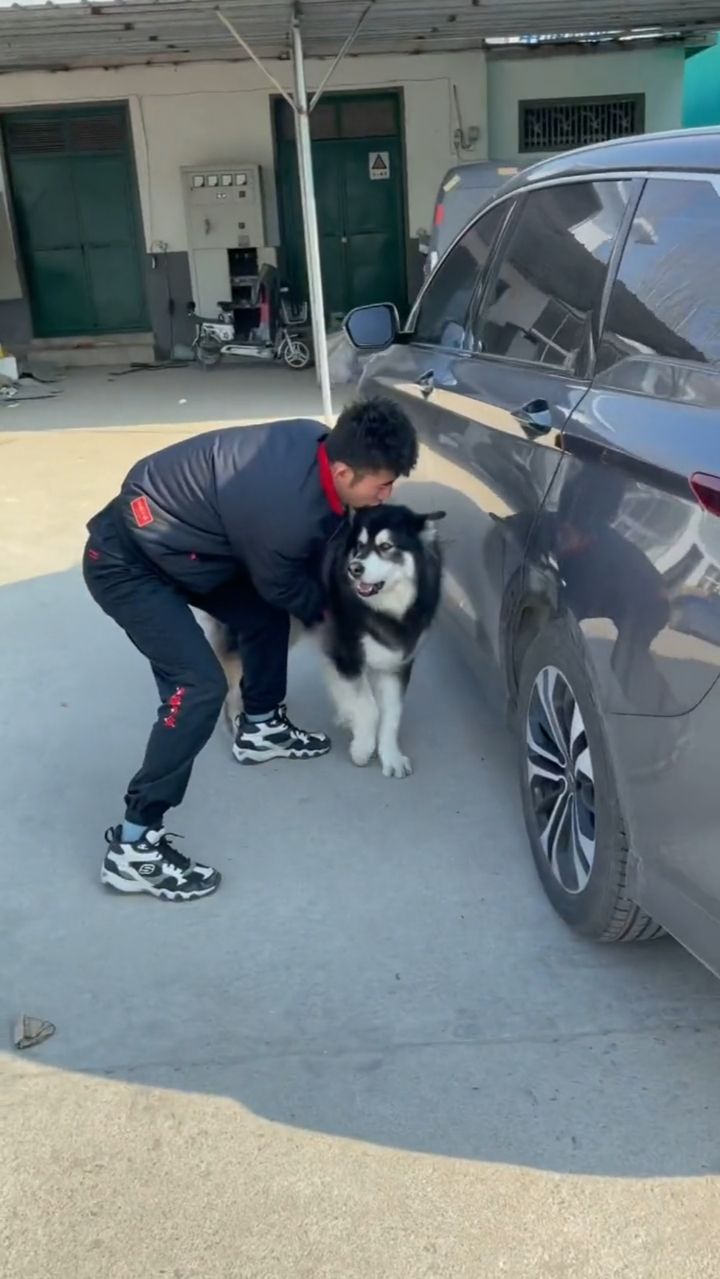 坐这个去遛弯咋啦！