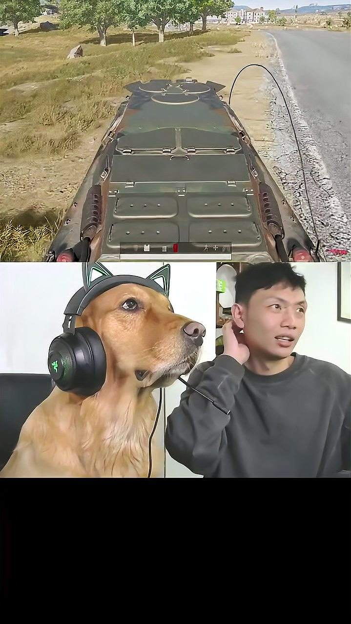 电竞狗赤脚的不怕穿鞋的