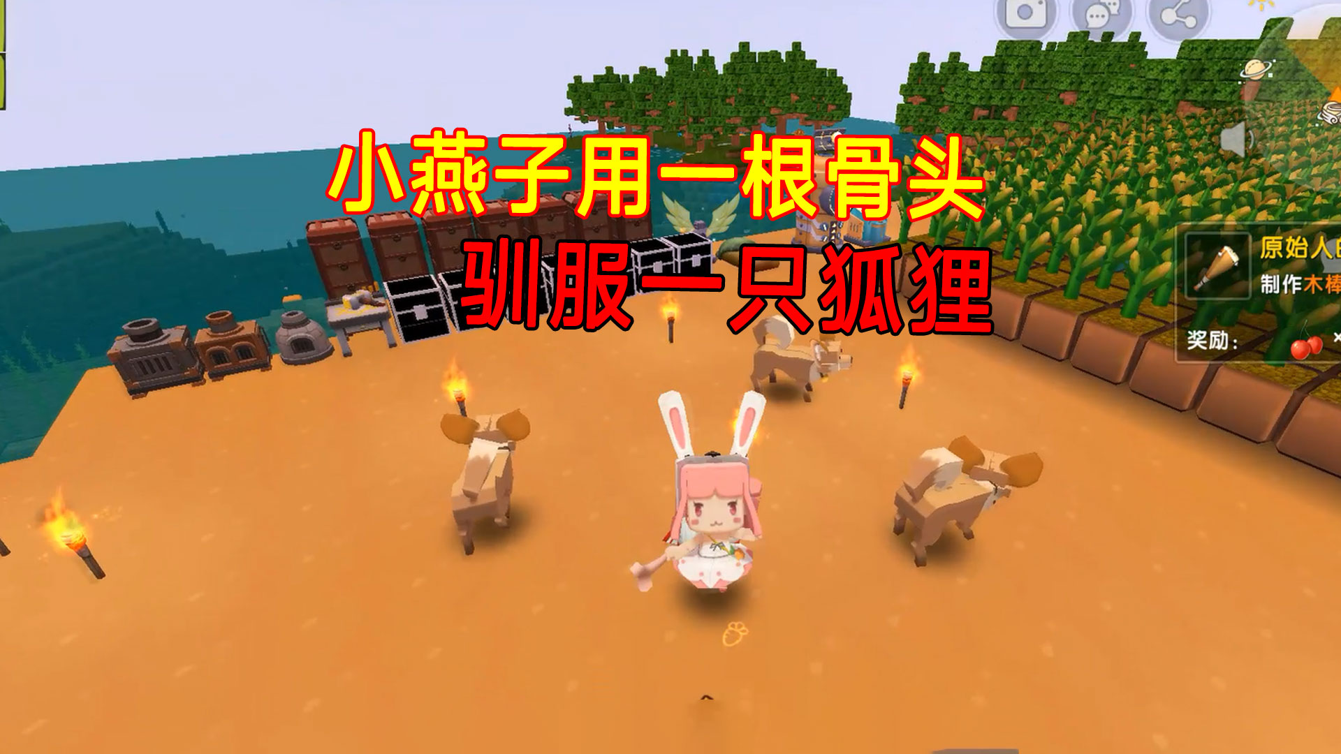 迷你世界：一根骨头驯服一只狐狸，小燕子家增加了三个新成员#迷你世界#沙盒游戏