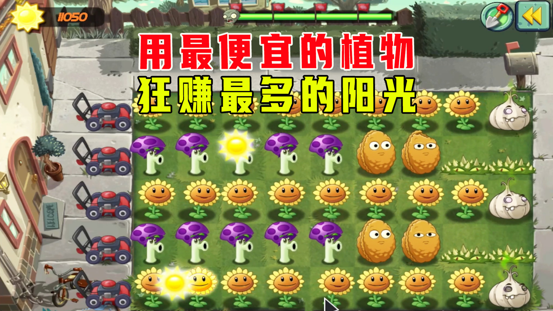 植物大战僵尸：用最便宜的植物，最低的价格！狂赚最多的阳光#植物大战僵尸#单机游戏