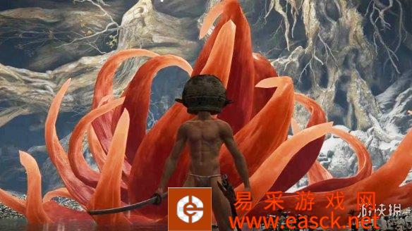 艾尔登法环(Elden Ring)社区里没有玩家比较壶头哥L