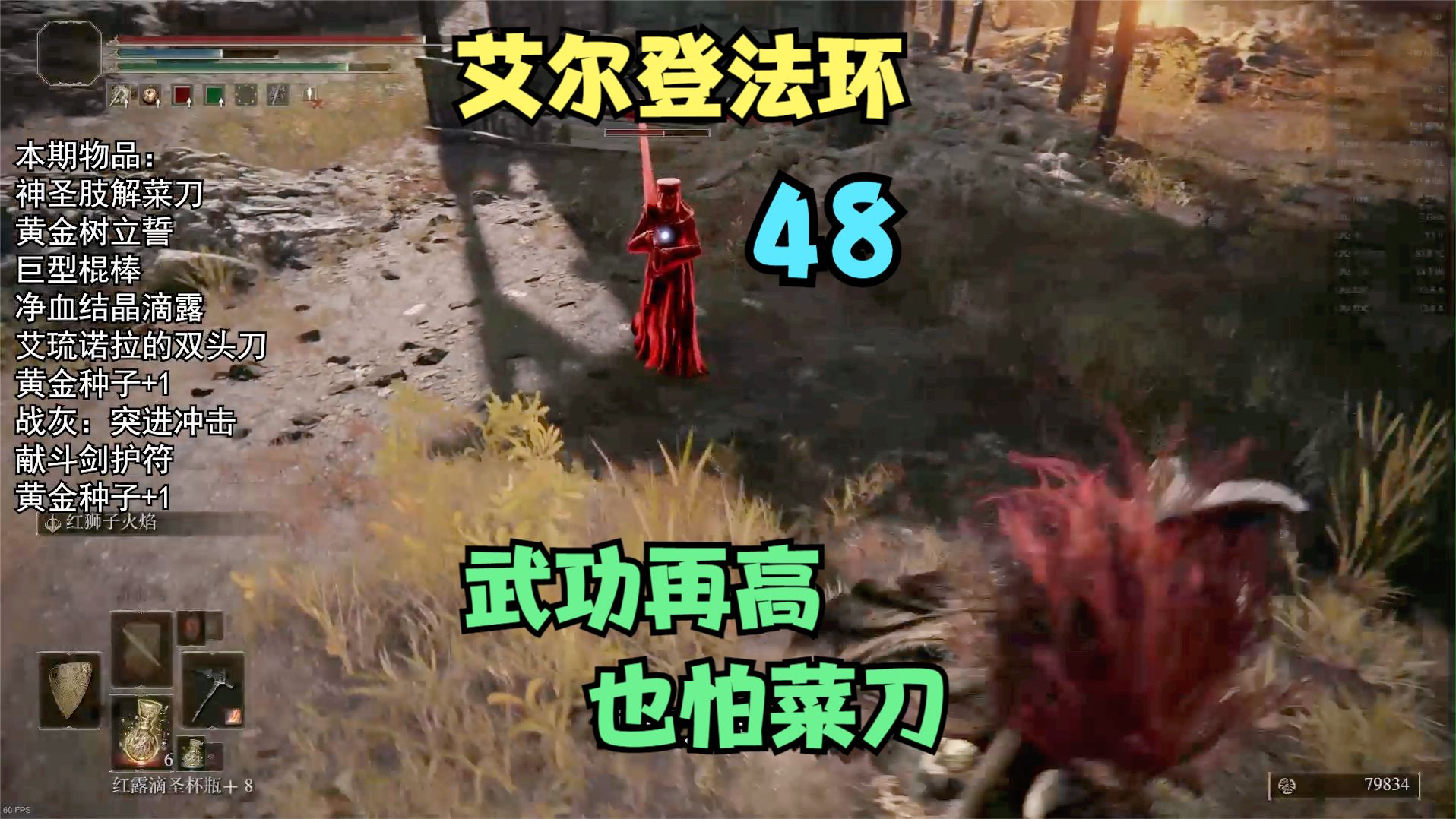 【艾尔登法环】48，武功再高，也怕菜刀#单机游戏#艾尔登法环