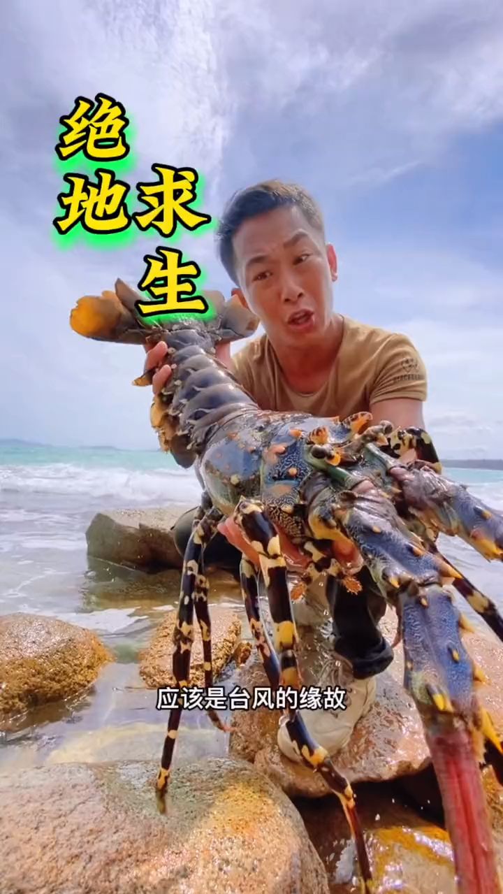 户外绝地求生，荒岛发现惊喜