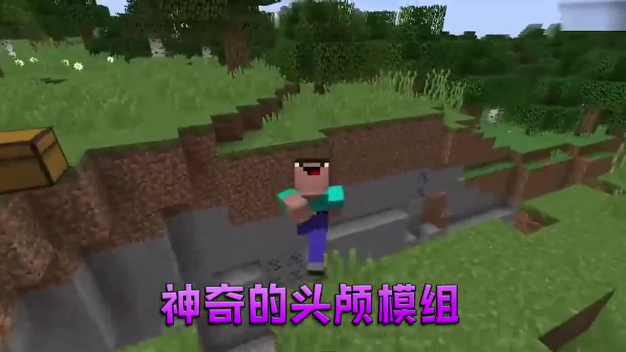 我的世界：恶趣味换头模组，生物头套