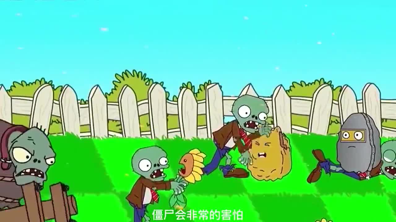 植物大战僵尸：大僵尸踢飞向日葵，小黄人来捣乱，最后被樱桃炸飞！