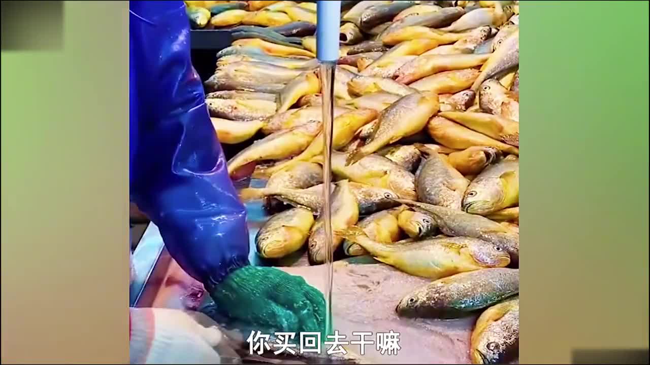 盘点被网友逼疯的带货主播，买不买不重要，重要的好玩！