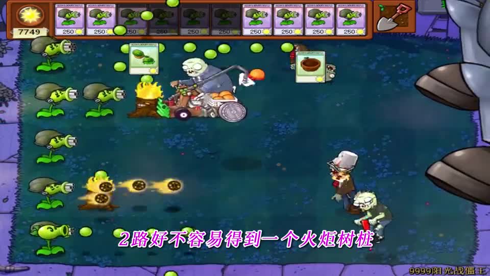 植物大战僵尸：植物家族连输两局，加特林申请出战