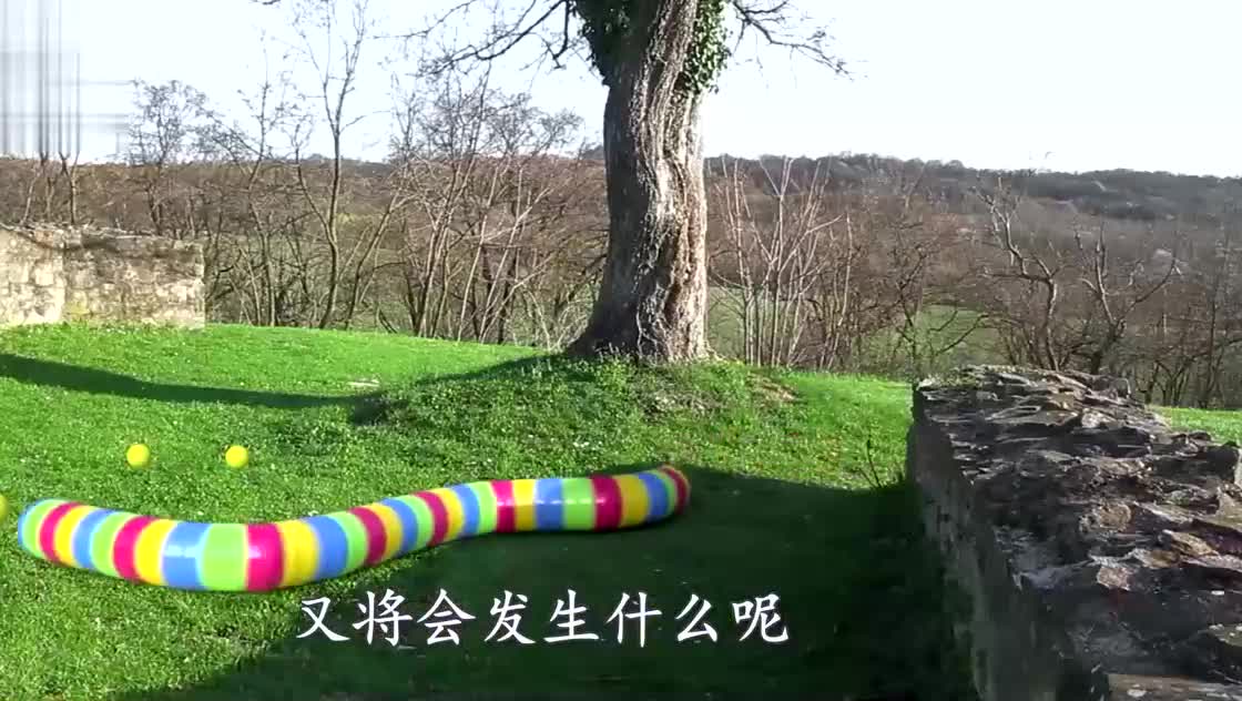 当贪吃蛇进入游戏世界，又会发生什么？场景宛如百万特效！