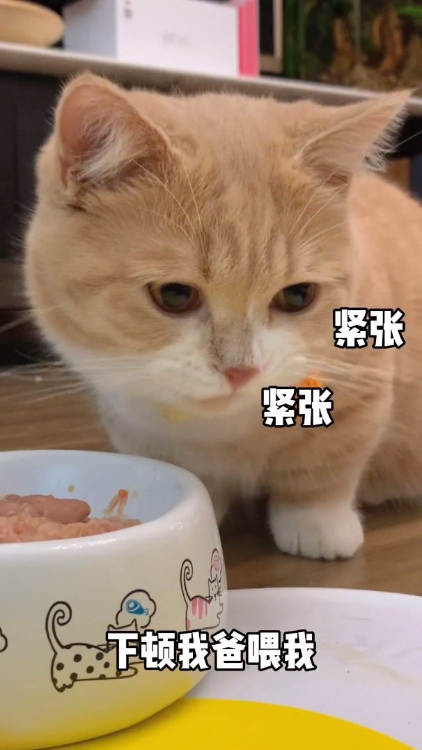 皮卡丘：不想再见到这个男人！