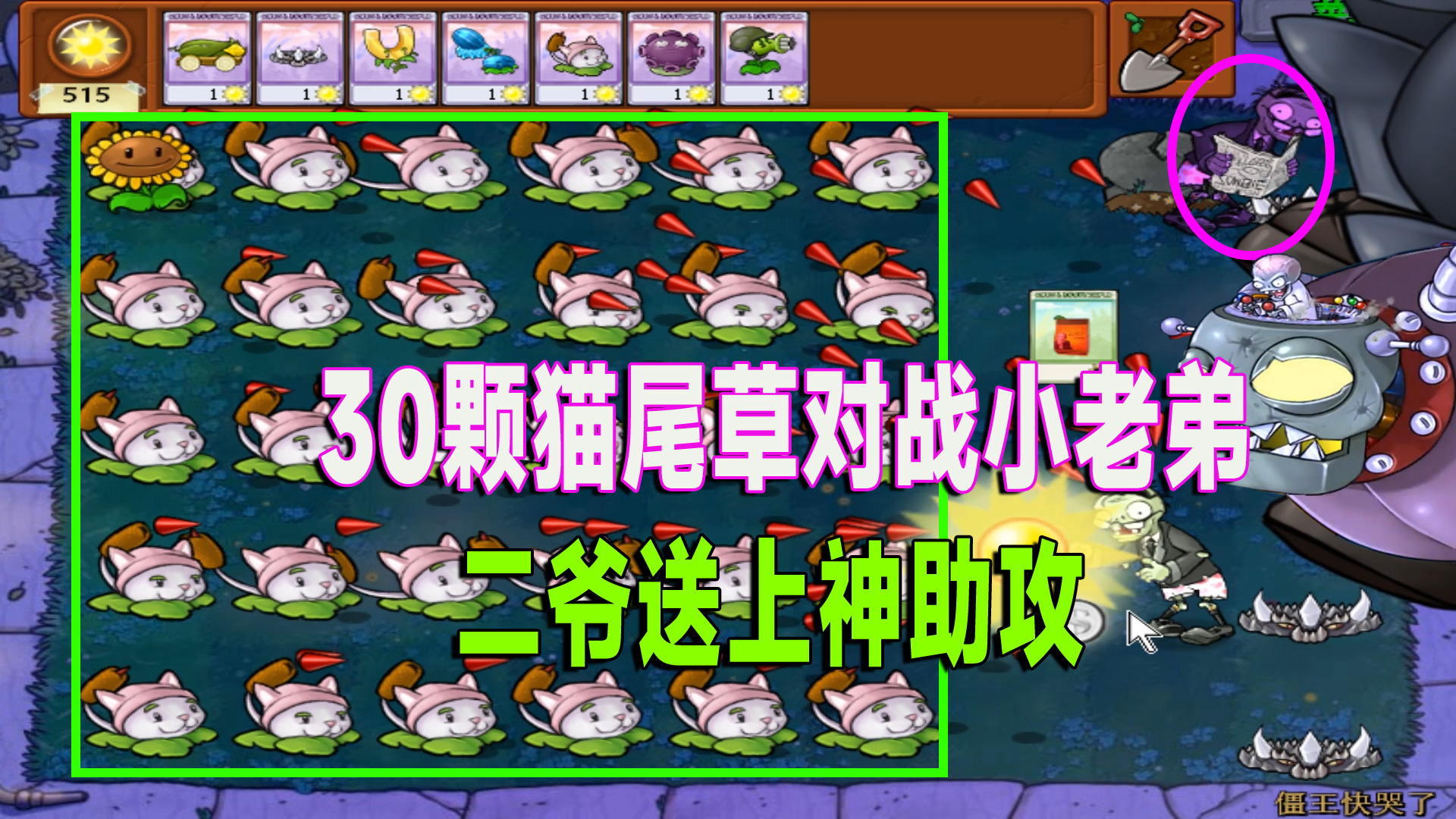植物大战僵尸：僵王懵了！30颗猫尾草都抗下了，却栽在了二爷手上#植物大战僵尸
