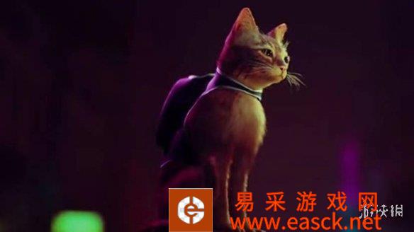 PS Plus公开猫咪冒险游戏《Stray》名单