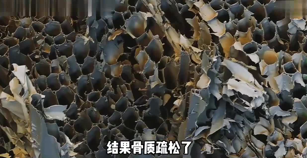 植物的阳光争夺之战！