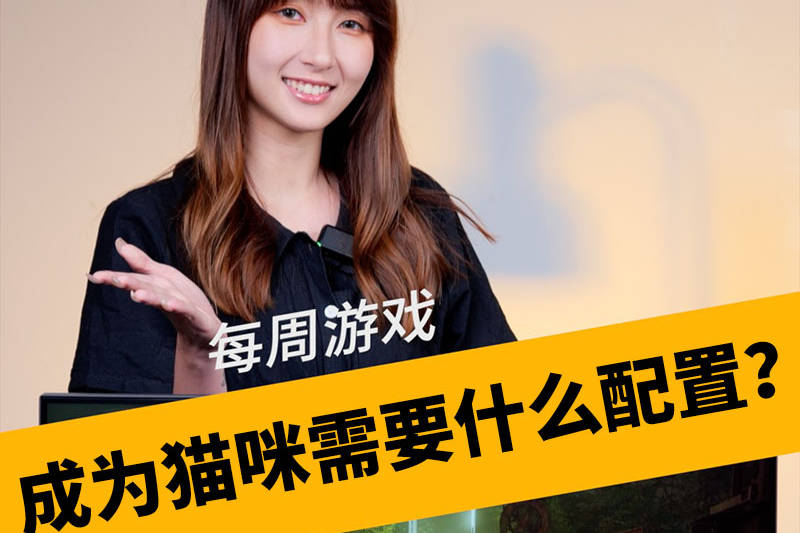 超有趣的猫咪冒险游戏，用什么配置才能玩？