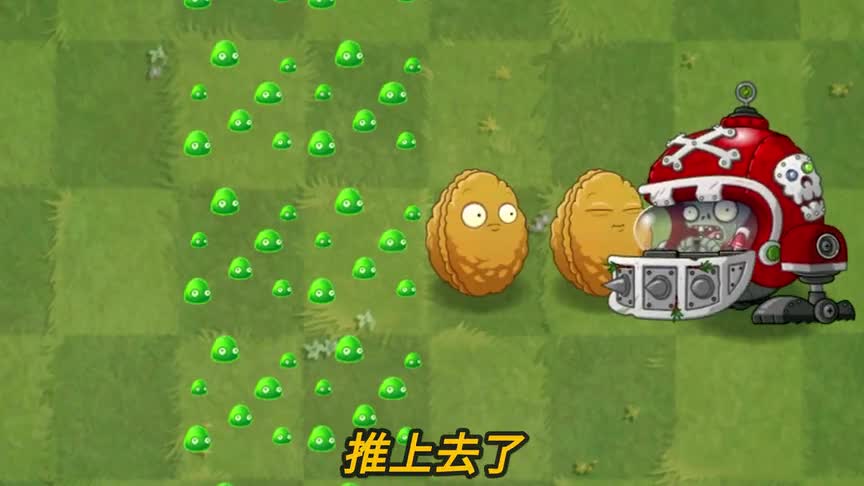 植物大战僵尸：如何把植物种霉菌地上？（1）