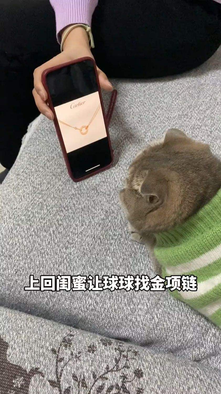 带球球去找金项链，没想到这回意外收获更大了！（2）