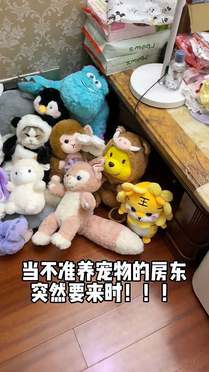 隐藏高手，哈哈！