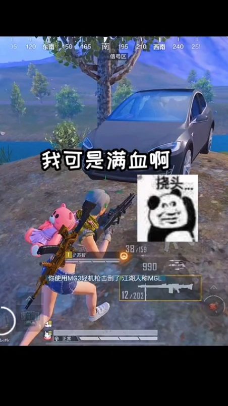 不懂就问：兄弟们帮我看看这是不是科技 和平精英