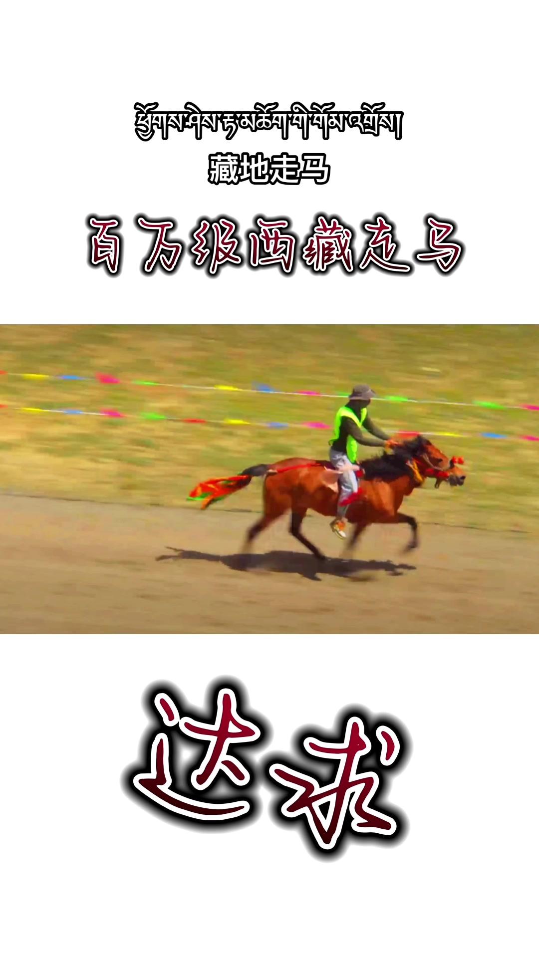 #传递正能量 #体育精神 #今日分享 #草原请你来
