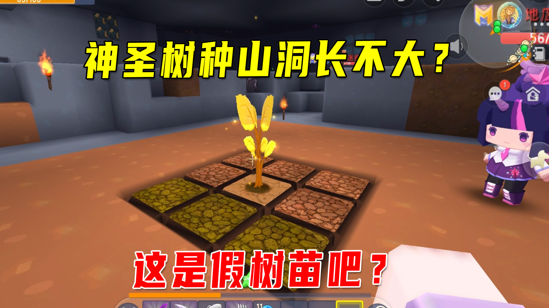 迷你新生存41：神圣树在山洞里长不大？金坷垃也无能为力，假树苗#迷你世界