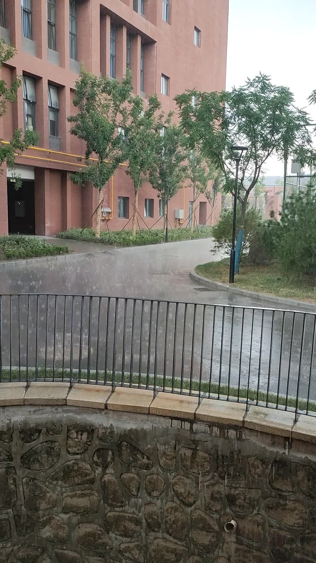 暴雨来临啦