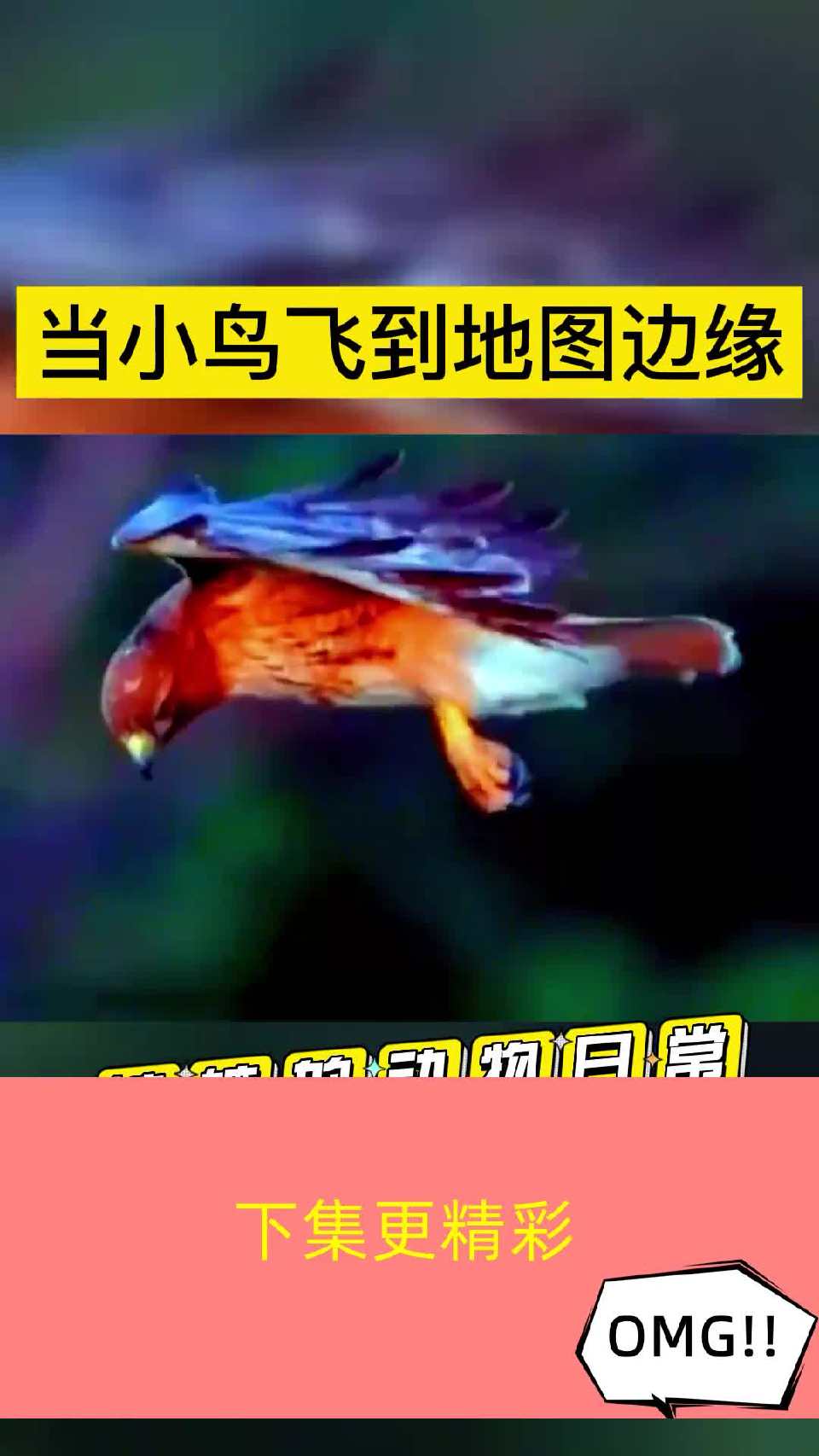 御风术重现江湖，已经出现鸟传鸟的情况