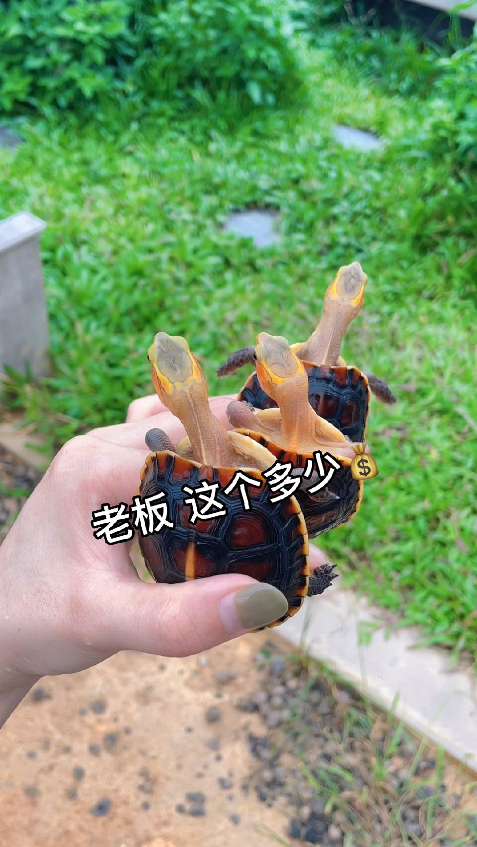 你觉得这个值多少？