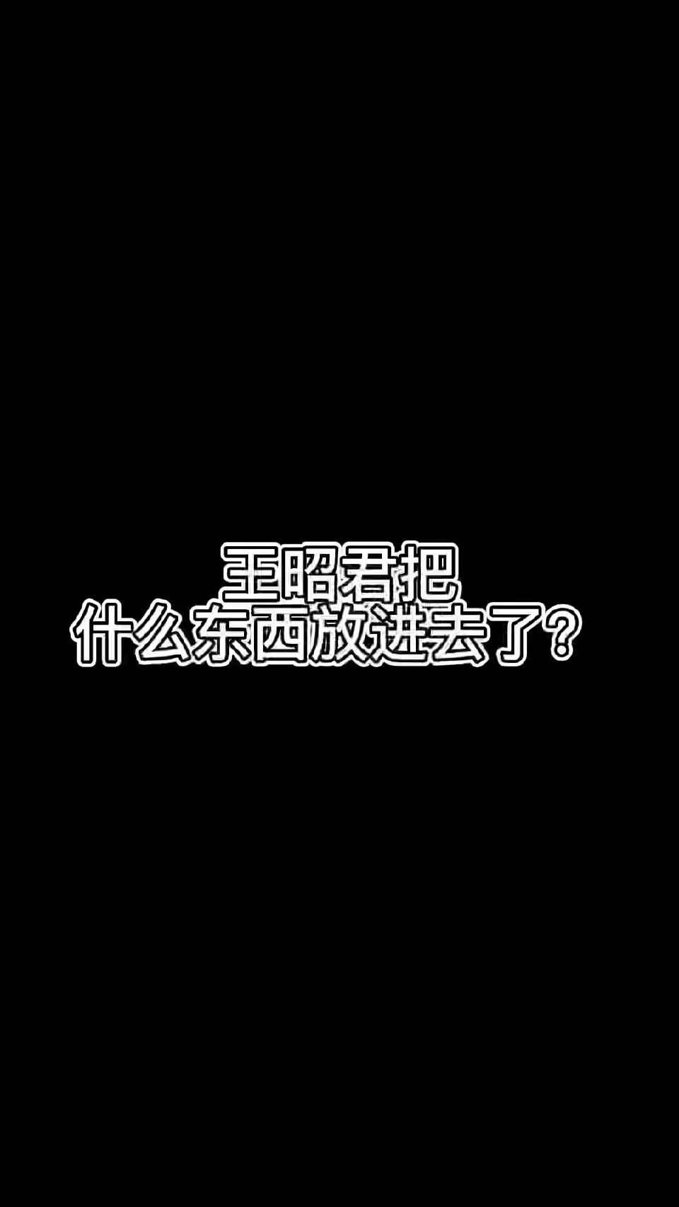王昭君把什么放进去了？