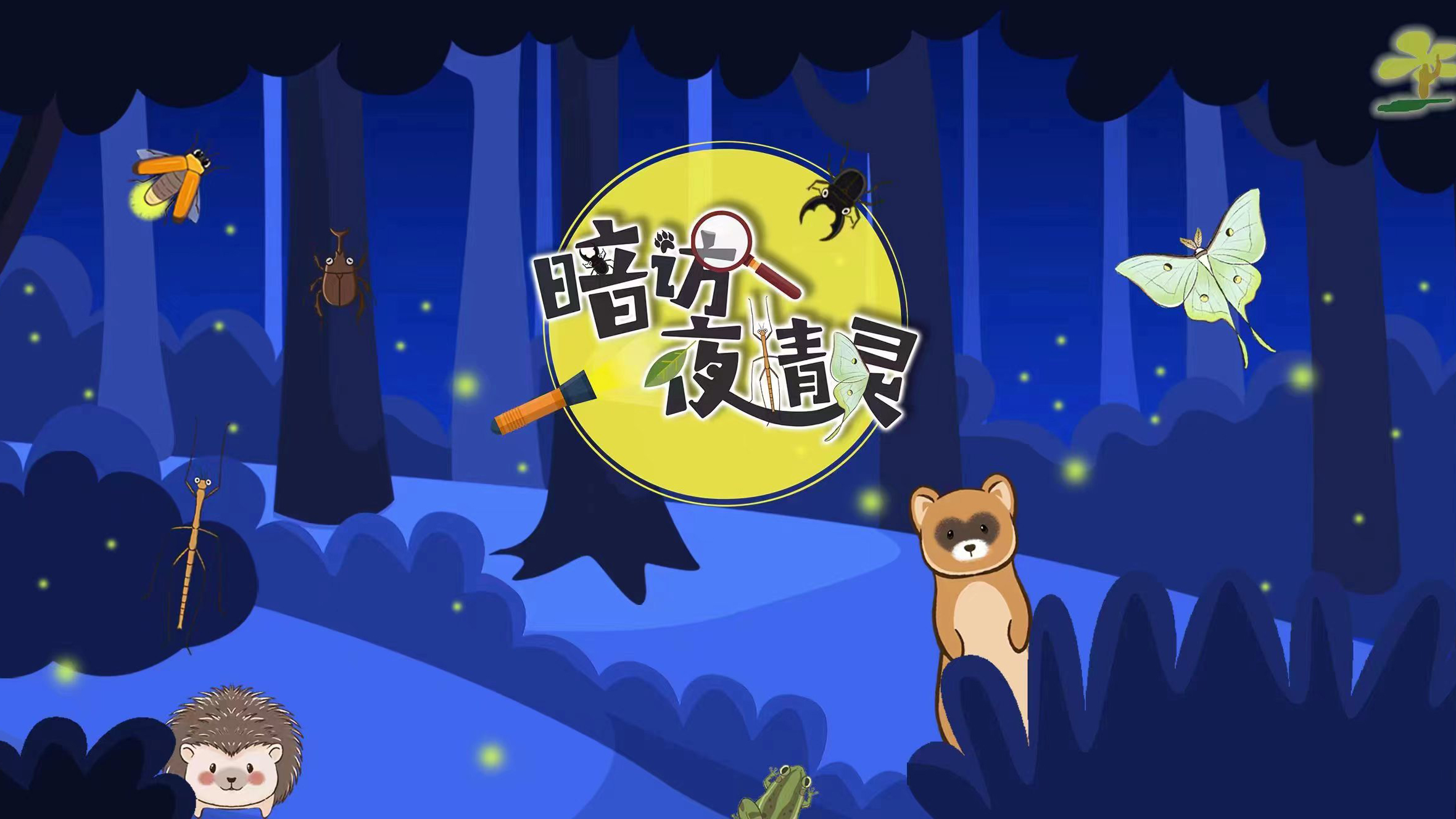 正在直播 | 来上海植物园，一起参加精灵王国的夏季派对！直播回放