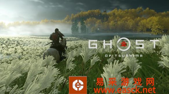 开发商Sucker Punch在官推发文感谢玩家的支持