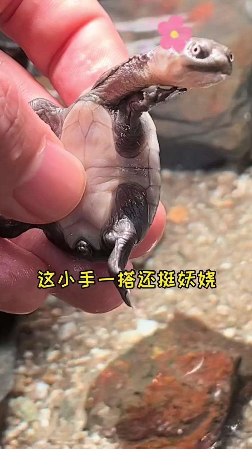 我终于拥有了一对雨刷器