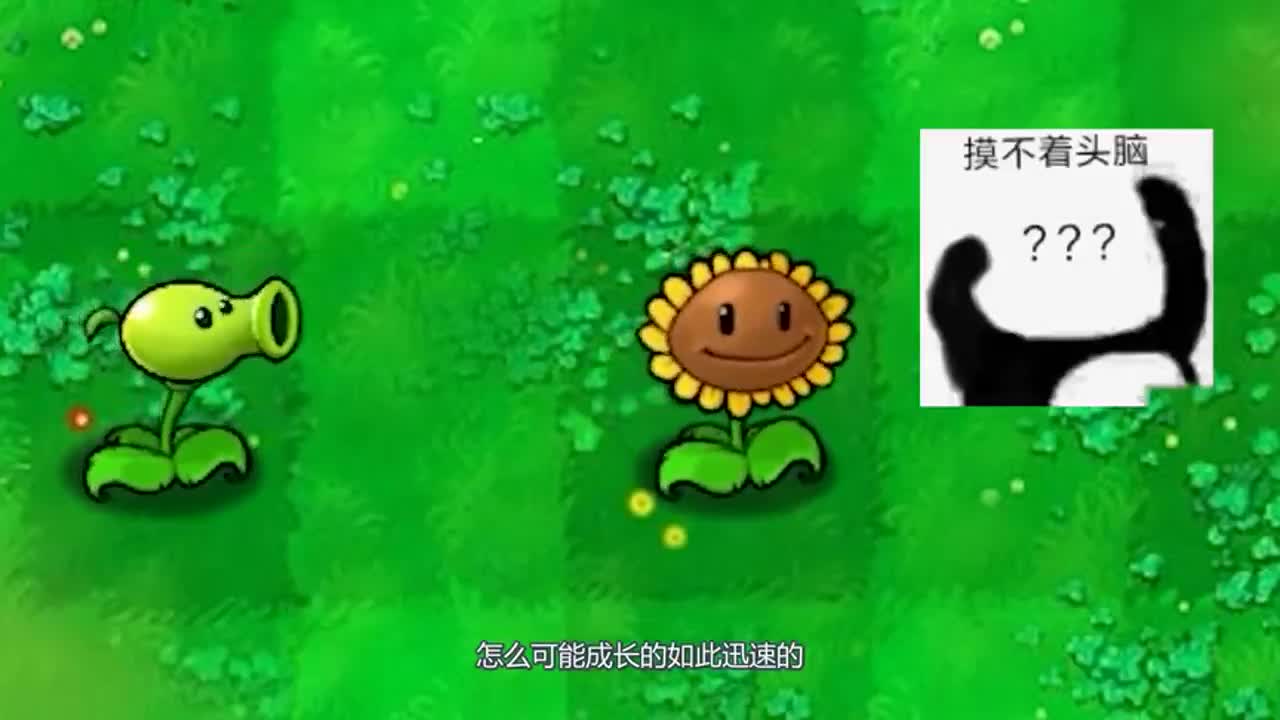 植物大战僵尸：向日葵十分的好奇豌豆射手是怎么吐出这么多的豌豆的。
