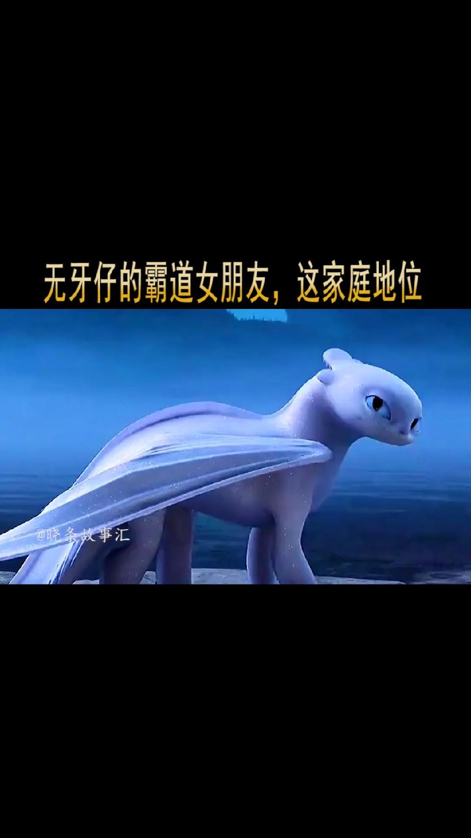 无牙仔的霸道女朋友，这家庭地位