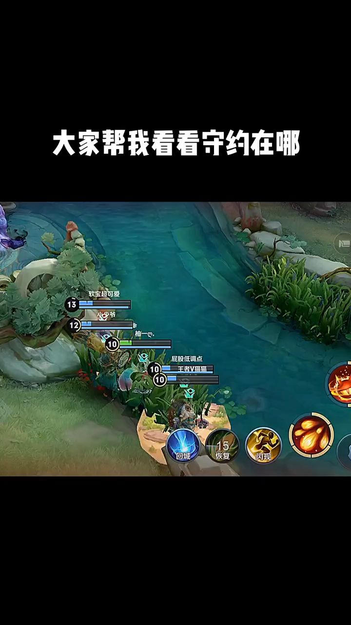 看了十遍也没看见守约在哪