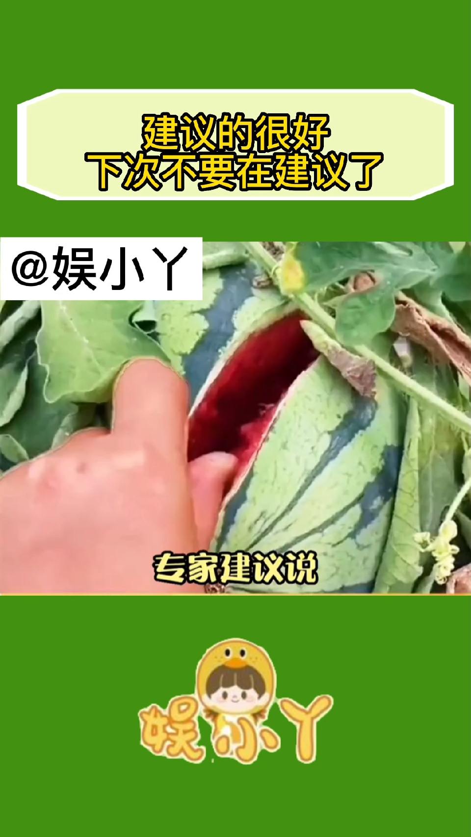 建议的很好下次不要在建议了！