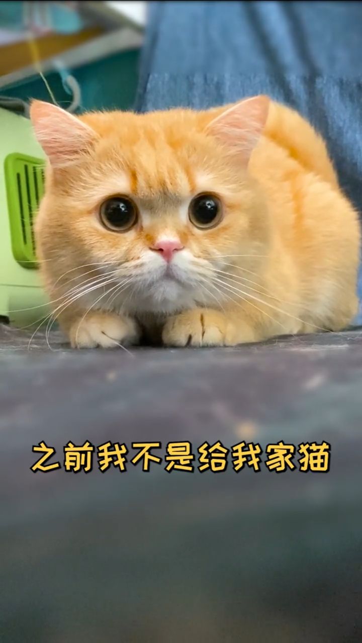 大家一直关心的后续来了！