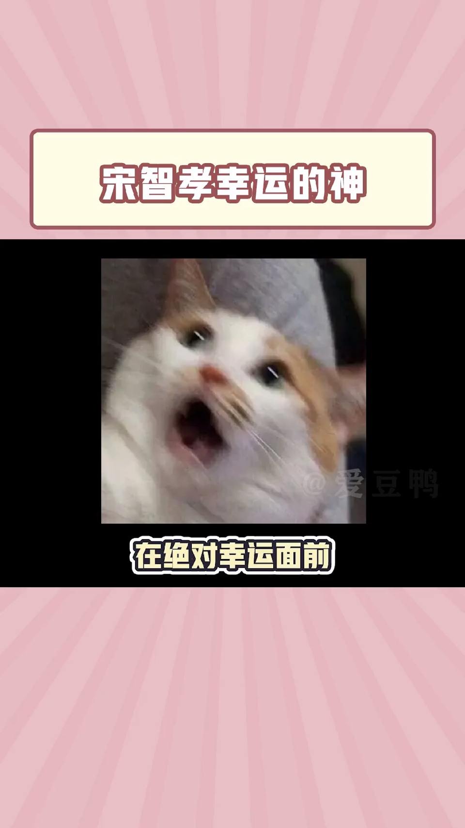 运气这块无敌了！
