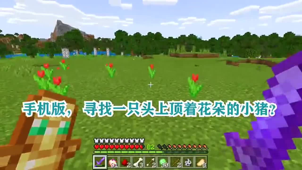 我的世界：寻找一只头上顶着花朵的小猪？