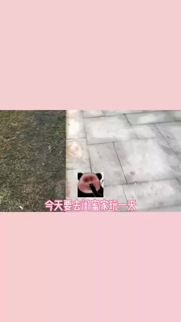 怎么办，目前还没有商量出来对策