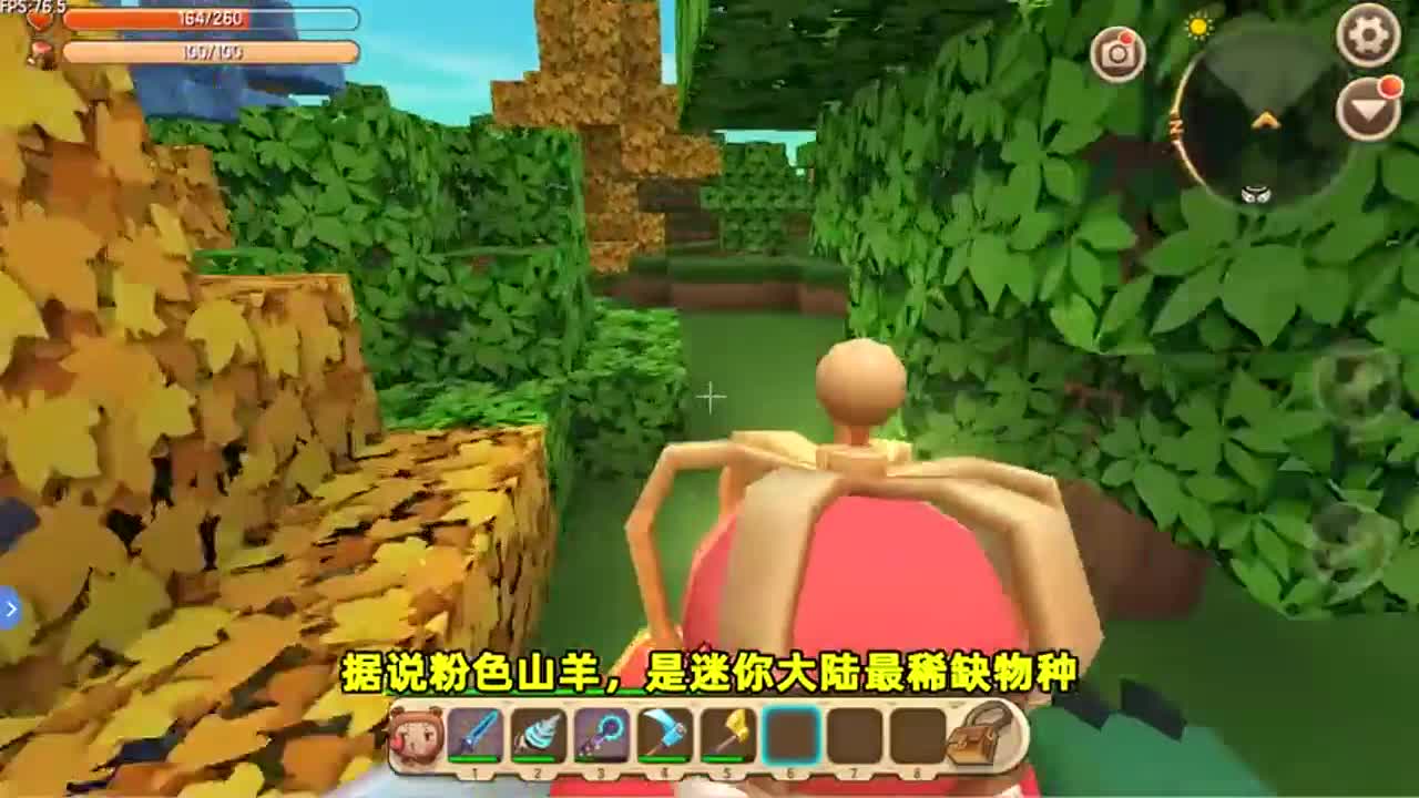 迷你世界：极限生存！竹林探索3天3夜，终于有竹子建海景别墅