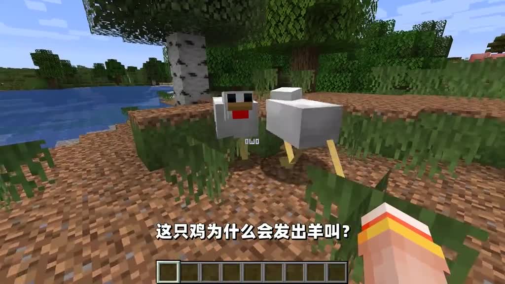 我的世界：如果mc被玩坏了，生物贴图被打乱，会发生什么？