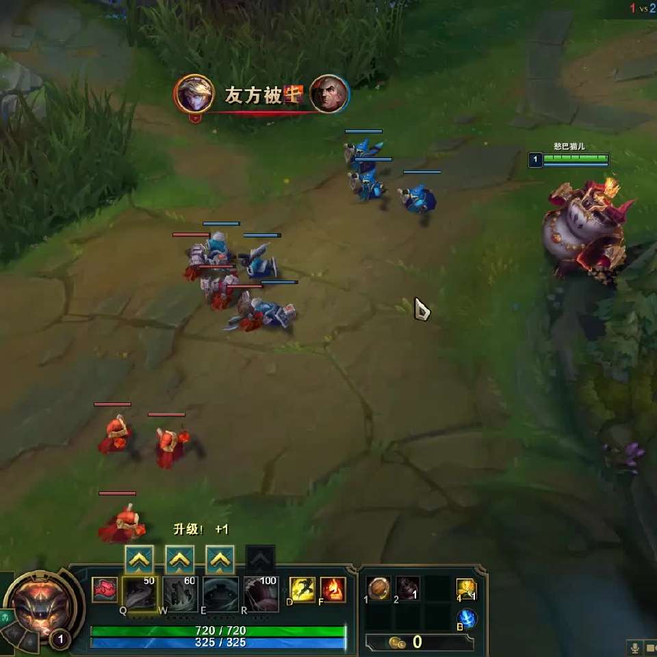 皮糙肉妹 提莫拱胃