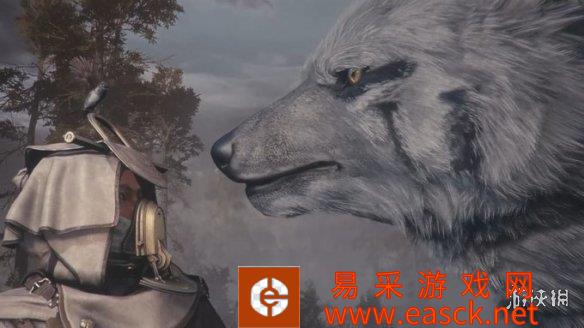 哈基尼船新版 演示 3