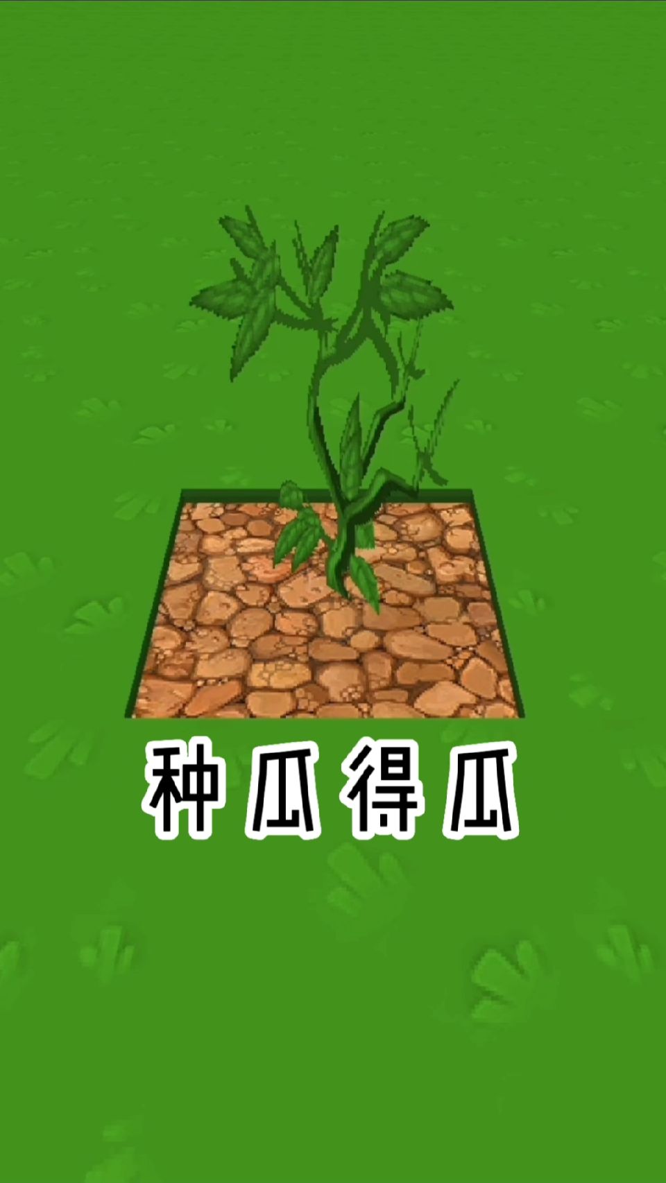 #迷你世界#种瓜得瓜种豆得豆