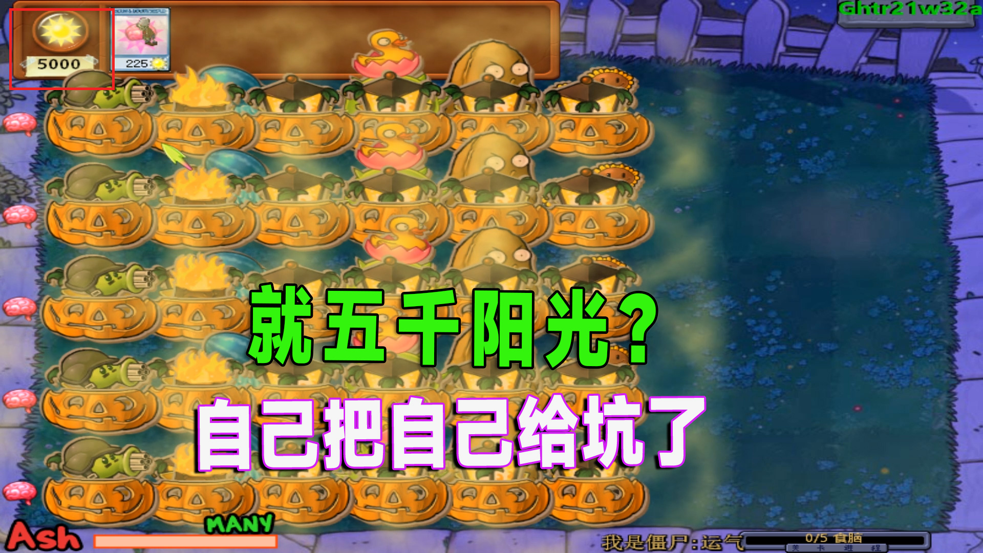 植物大战僵尸：粉丝投稿，我自己却把难度升高了？#植物大战僵尸