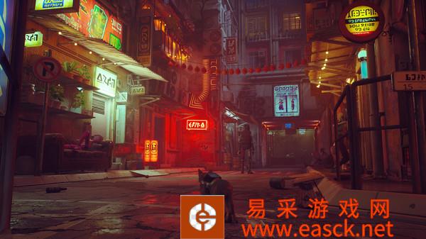 Stray seamus房间保险箱密码共享