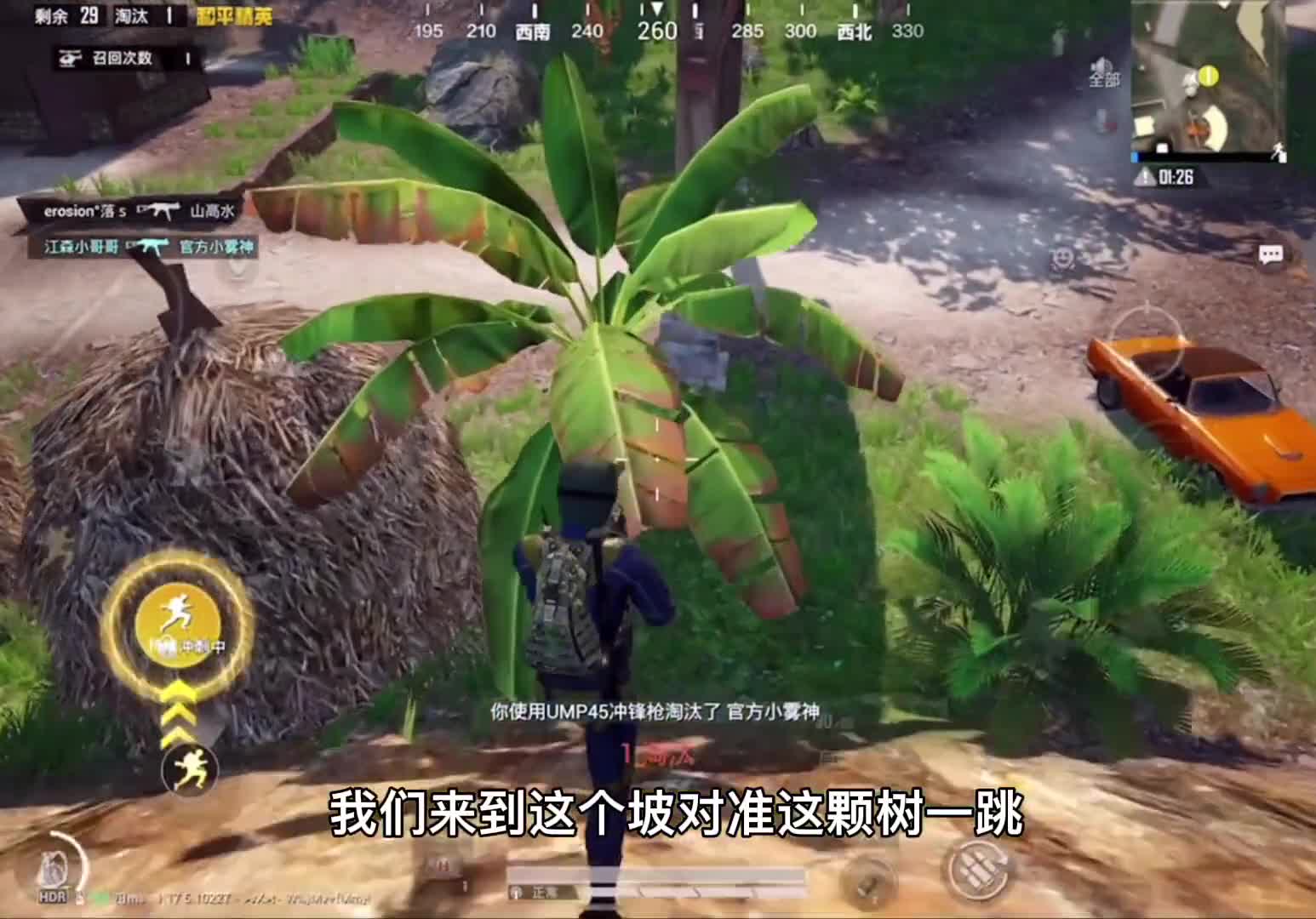 偶尔给点意外的惊喜和平精英度假岛蓝枫学长