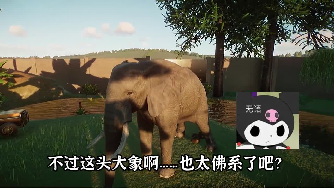 动物园之星：一山不容二虎？两只老虎居然给我搞出这种事～离谱！