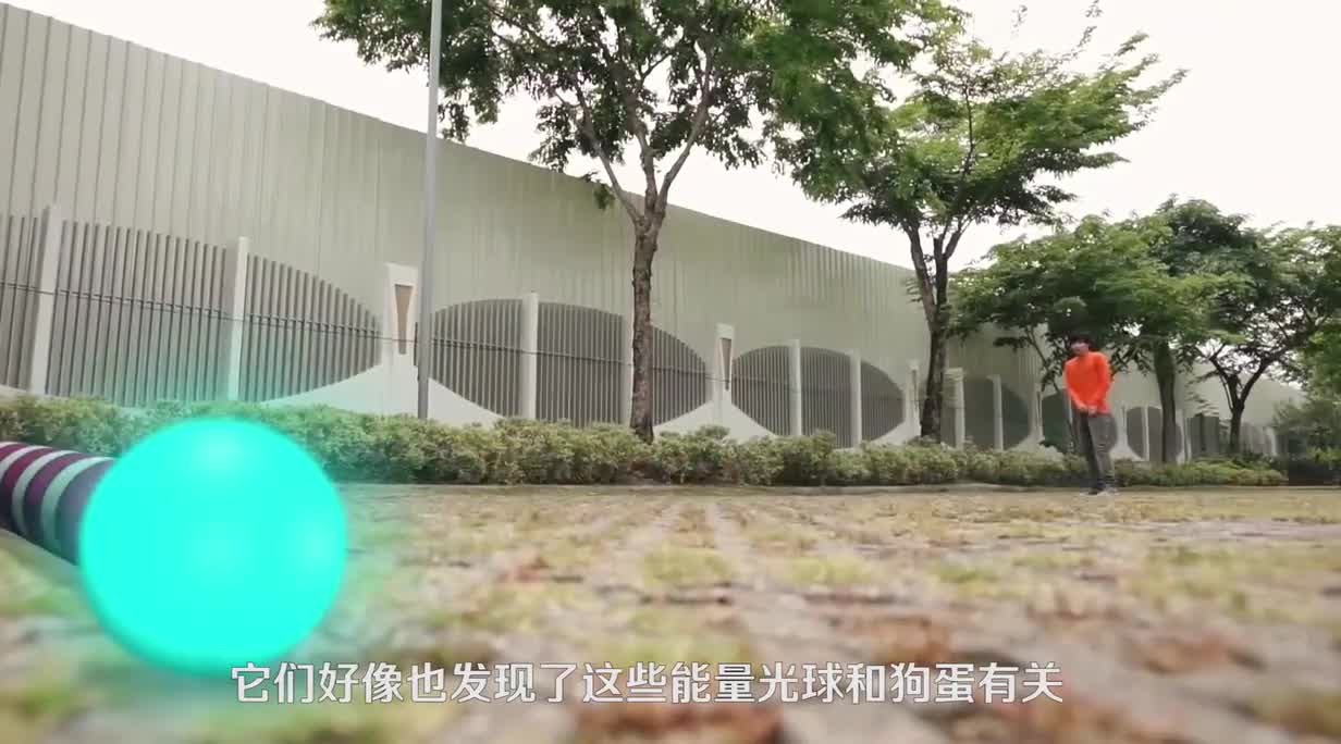 如果植物遇到贪吃蛇会发生什么？