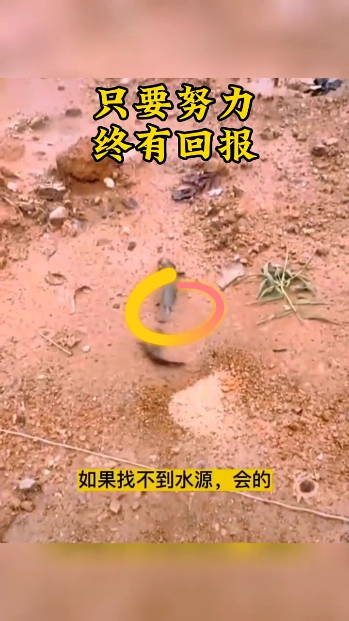 没有谁会随随便便成功的
