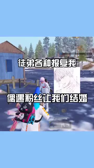 元芳.你怎么看？#和平精英